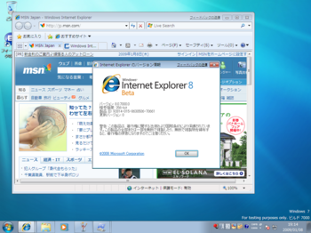IE8beta.png
